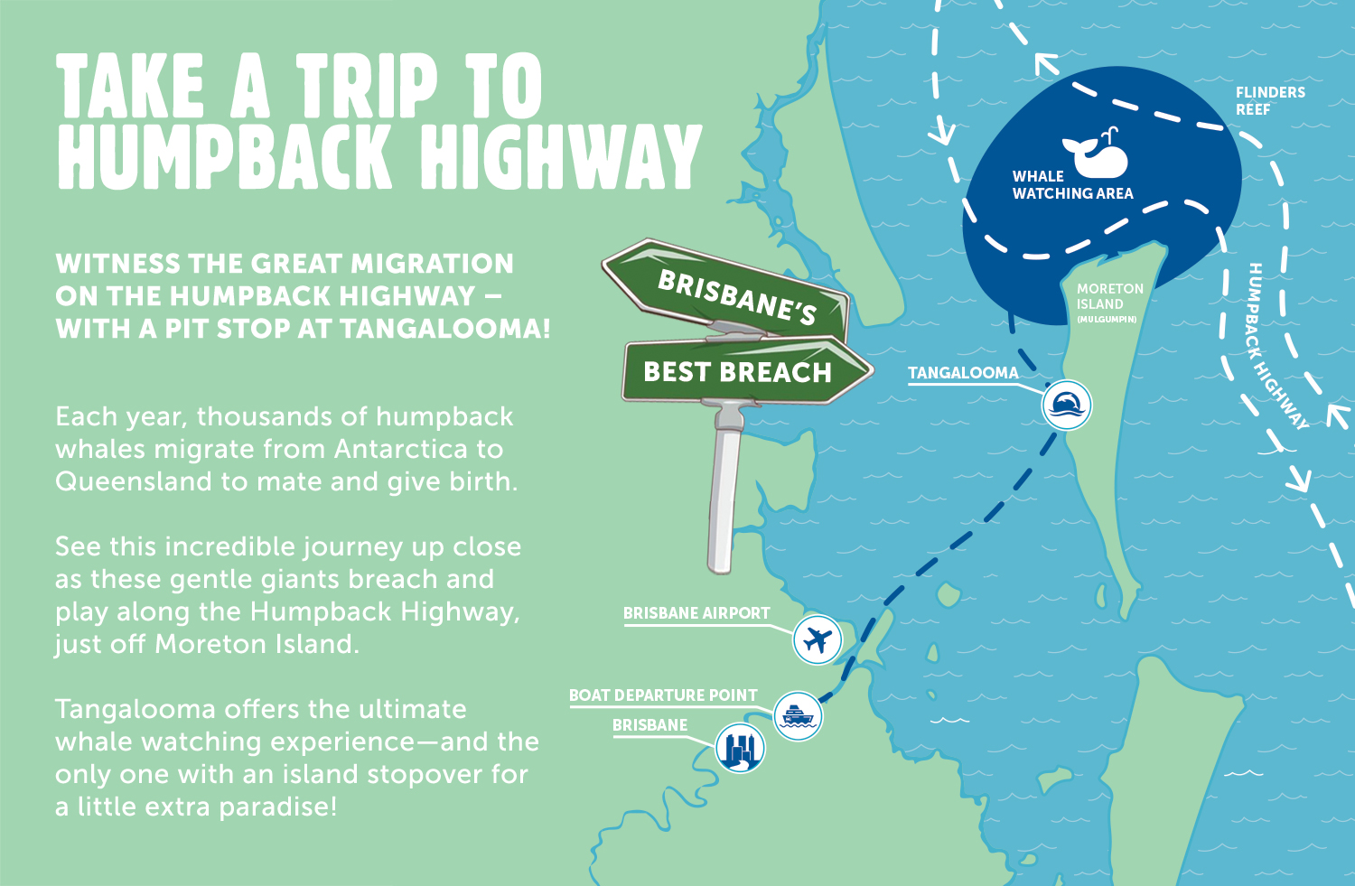 Take a trip along Humpback Highway